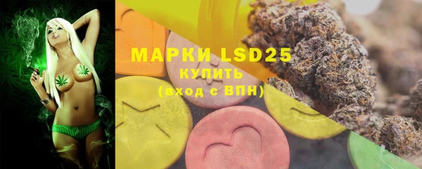 PSILOCYBIN Краснослободск
