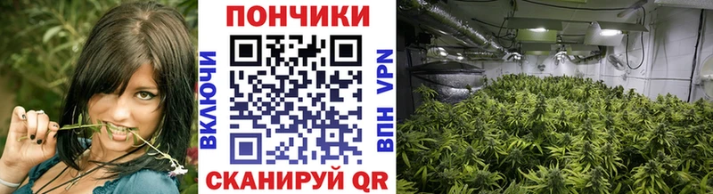 купить закладку  мориарти клад  Конопля марихуана  Среднеколымск 